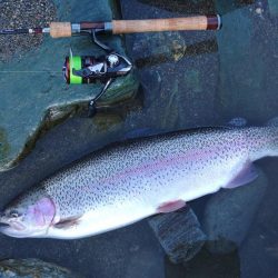 大物大漁となるはずが… ～天竜川ルアーフライ専用区～